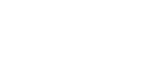Delaney logo white