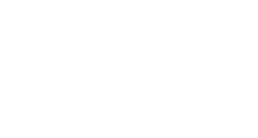 Planes logo white