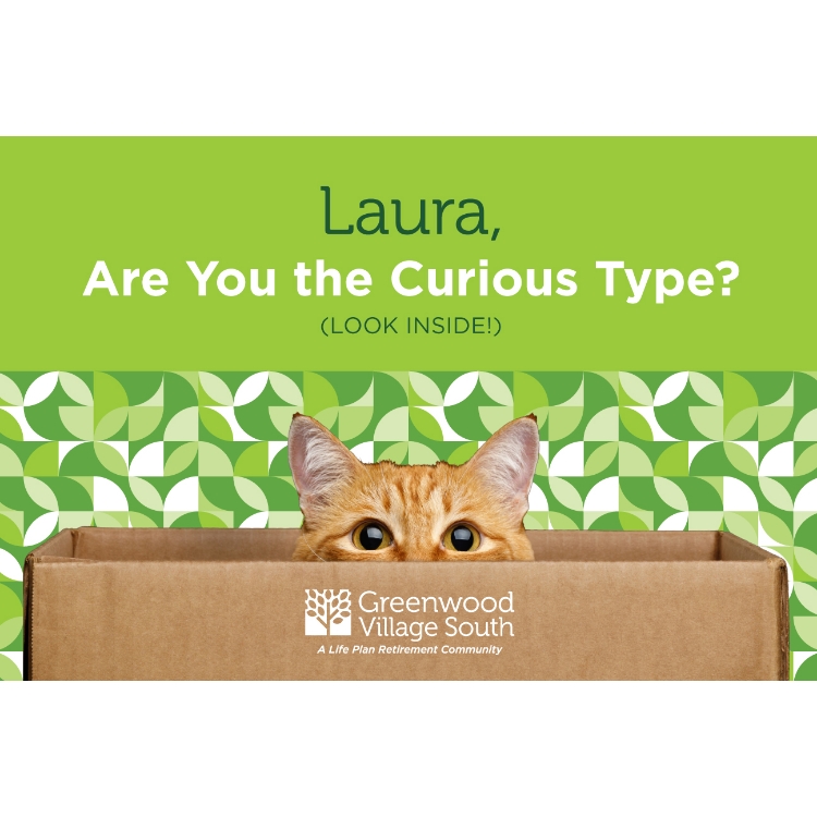 Curious cat peeking from box in front of green patterned background.